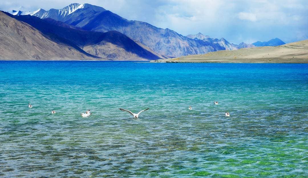 Pangong