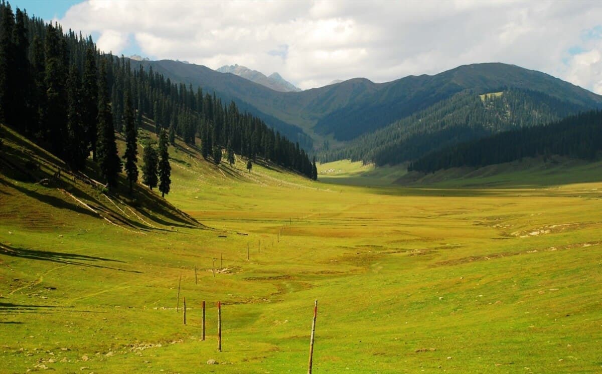 Bangus Valley