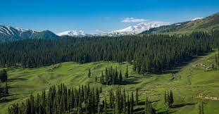 Kashmir Meadows Heritage and Offbeat Travel 5D/4N